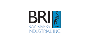 BRI Logo